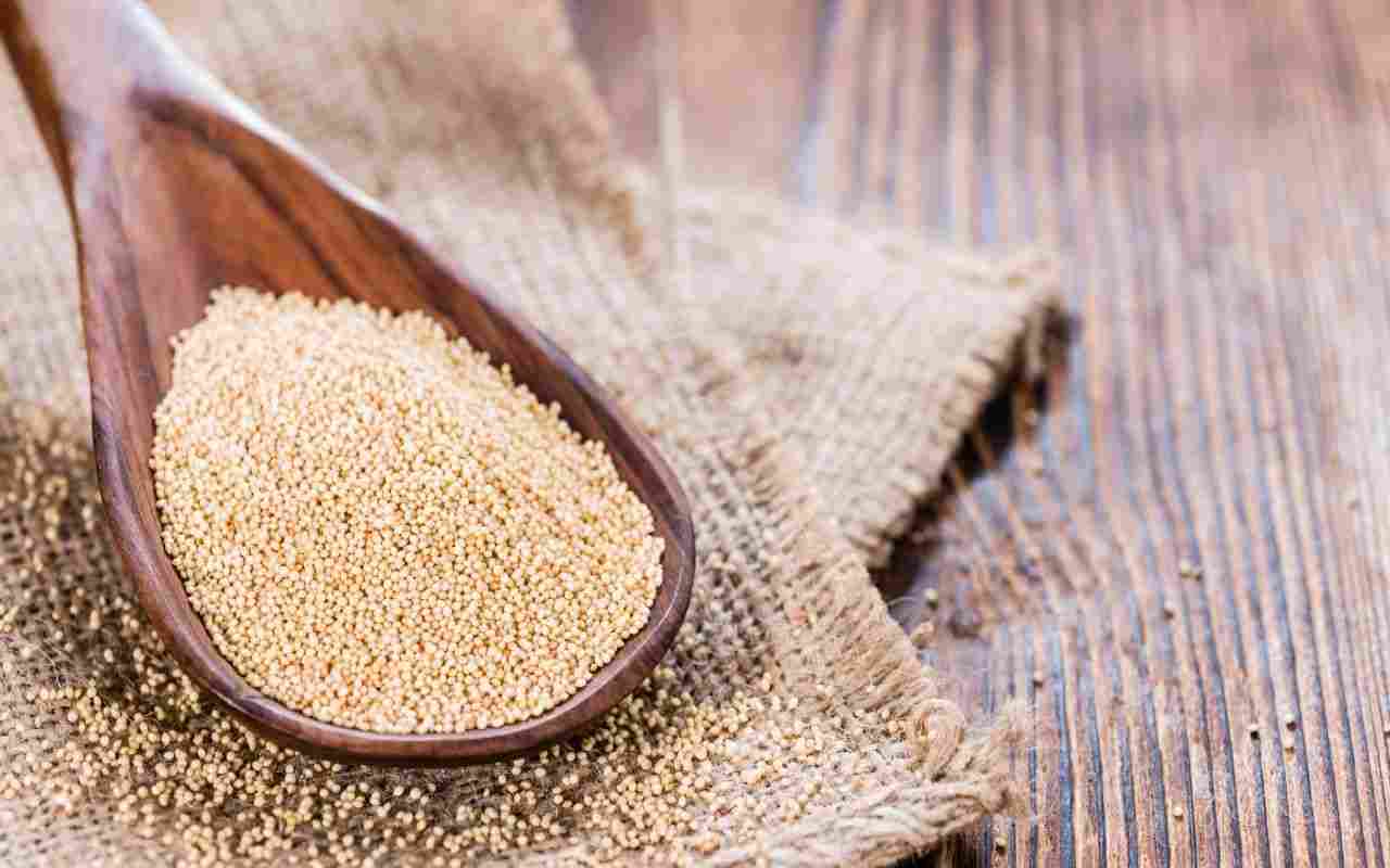Abbassare il colesterolo: la soluzione migliore con i semi di amaranto