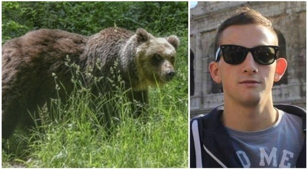 Andrea Papi, trovata l’orsa che ha ucciso il runner: «È Jj4 e ha 17 anni». Cosa succede ora
